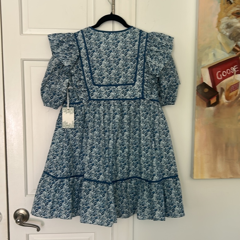 Blue Floral Ruffle-Sleeve Mini Dress - Picture 6 of 11